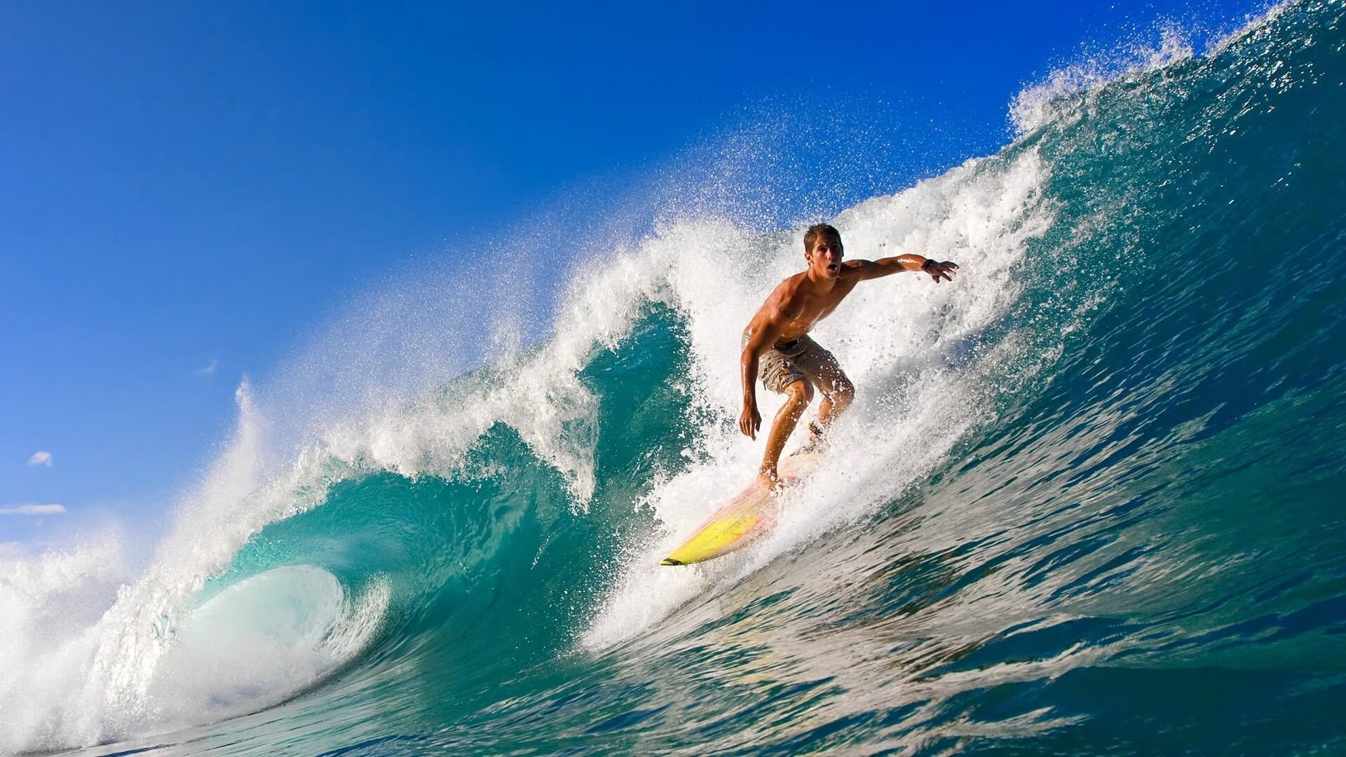开云官网下载-澳洲队泳姿优雅，技术细腻引发关注，澳洲泳坛少女惊艳