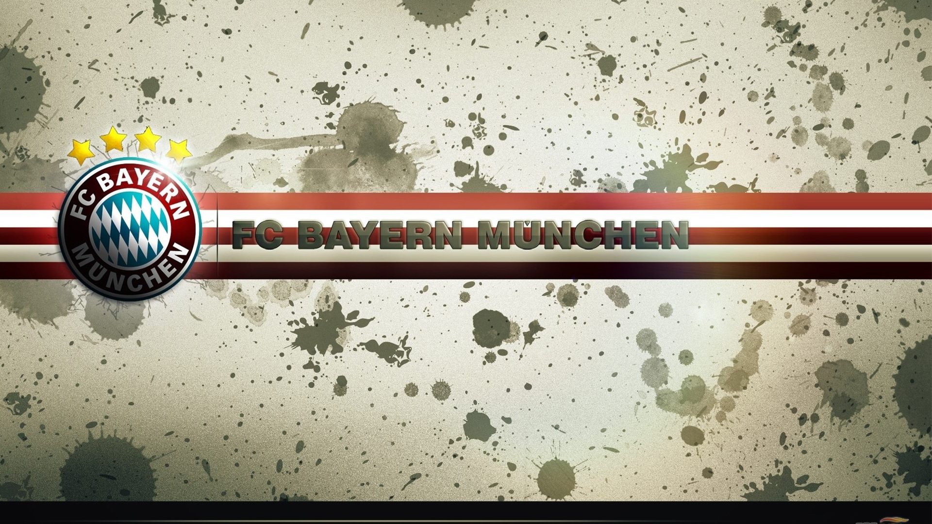 美洲杯热血沸腾：明星拼搏，精彩不断！，美洲杯现场观众