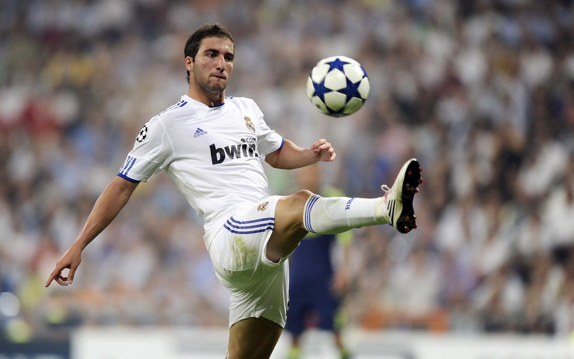 开云app-艾比·德尔福：南非队防守中的英雄，成功防守对方进攻威胁，比尔和艾德